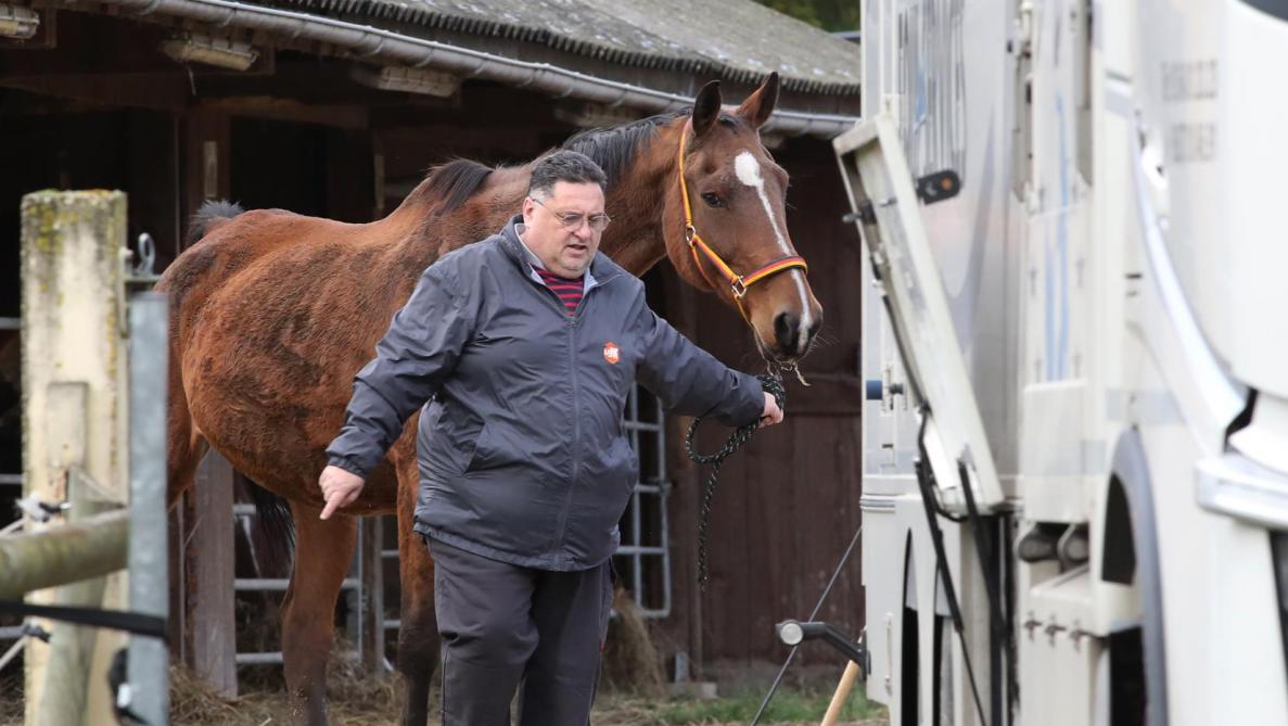 Vanne pour cheval store